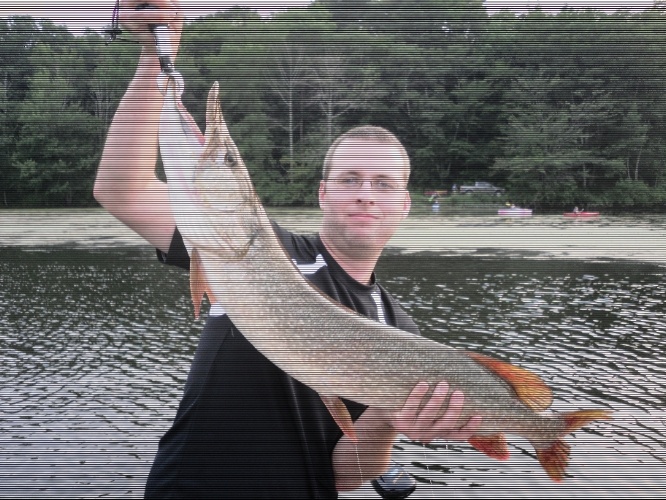 13.5lb pike