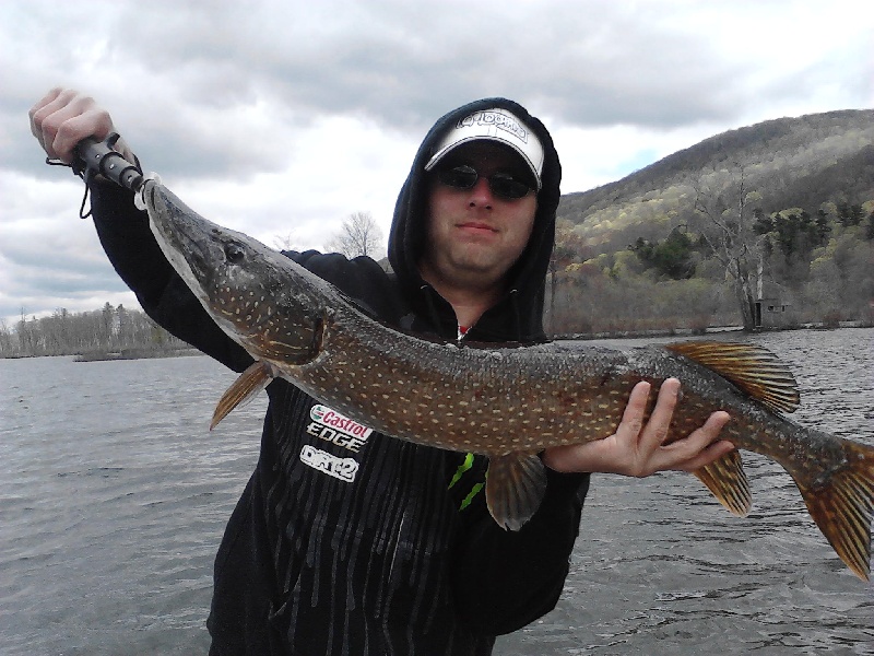 9lb pike