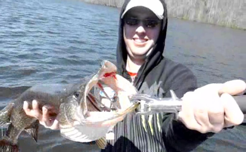 northern pike close up