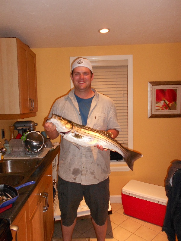 Plum Island - 32 inches, 10.1lbs Striped Bass 