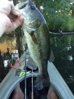 KAYAK TOURNAMENT RESULTS-LAKE BOON-6/28