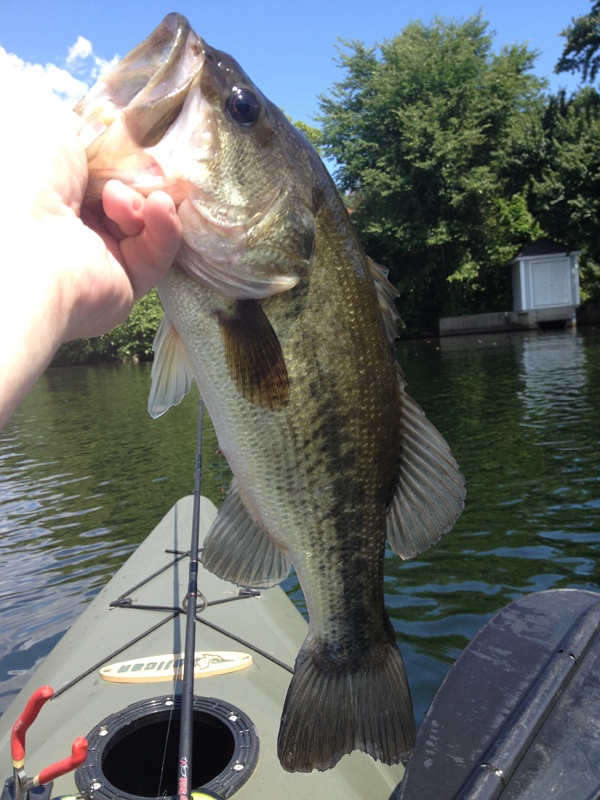 First and Only Keeper - 1 lb 15oz near Millbury