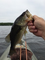 KAYAK TOURNAMENT RESULTS-6/27/15-NORTH POND, HOPKINTON