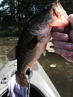 KAYAK TOURNAMENT RESULTS-JULY 11-FURNACE POND,PEMBROKE