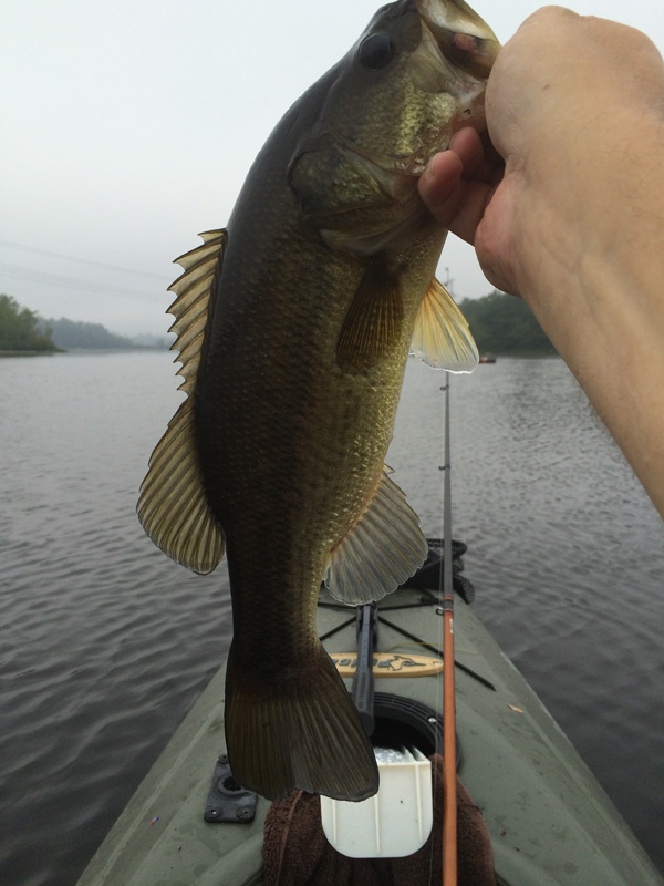 First Keeper - 1lb 9oz