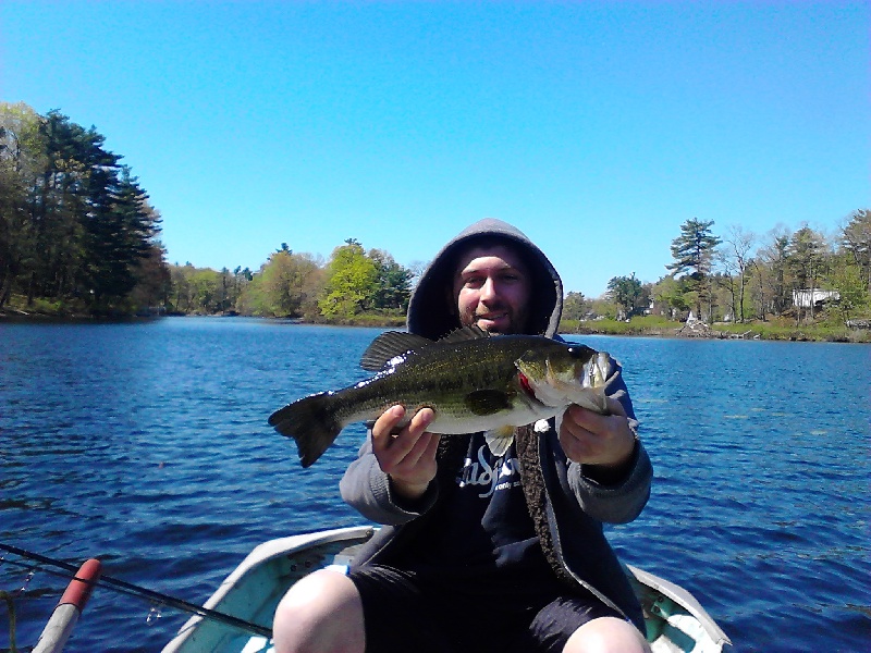 3 pounds large mouth bass