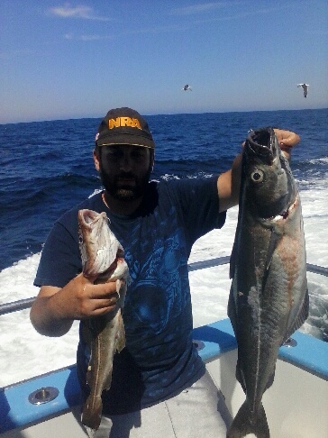 13 pound pollock and small cod