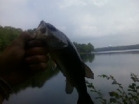 swansea reservoir again Fishing Report