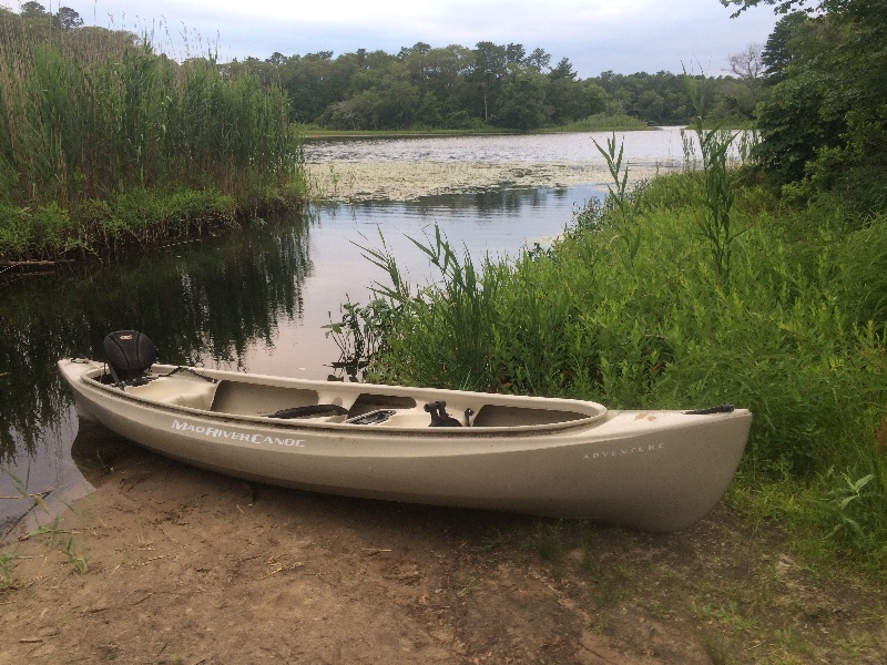 Mode of Transportation