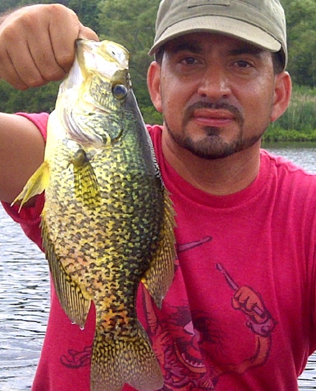 Crappie