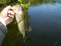 Haggetts pond