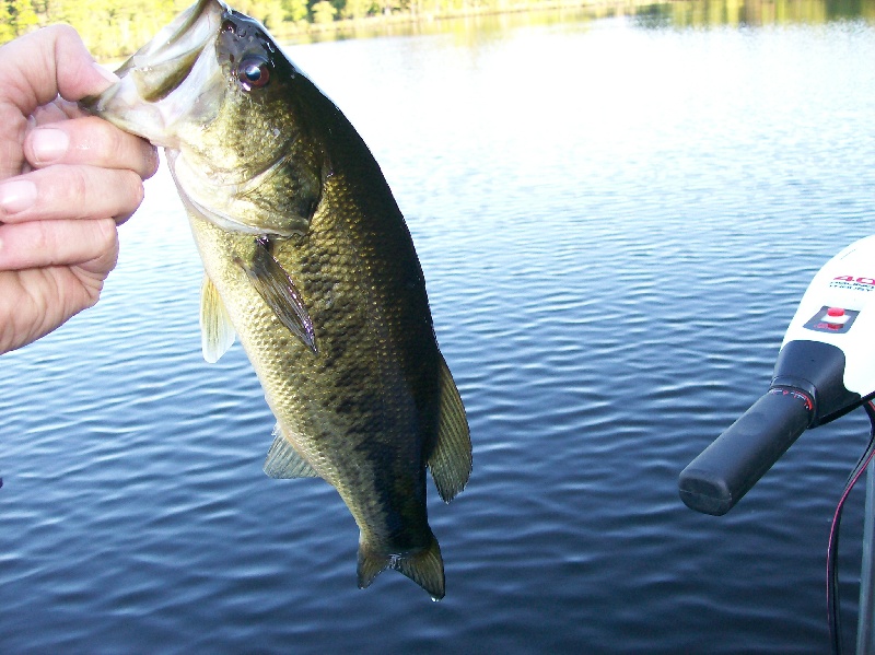 Andover fishing photo 5