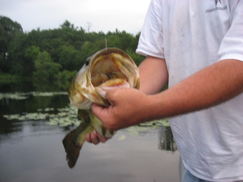 Nahant fishing photo 0