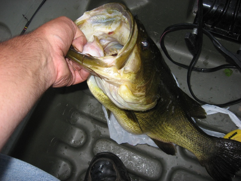 Nahant fishing photo 2