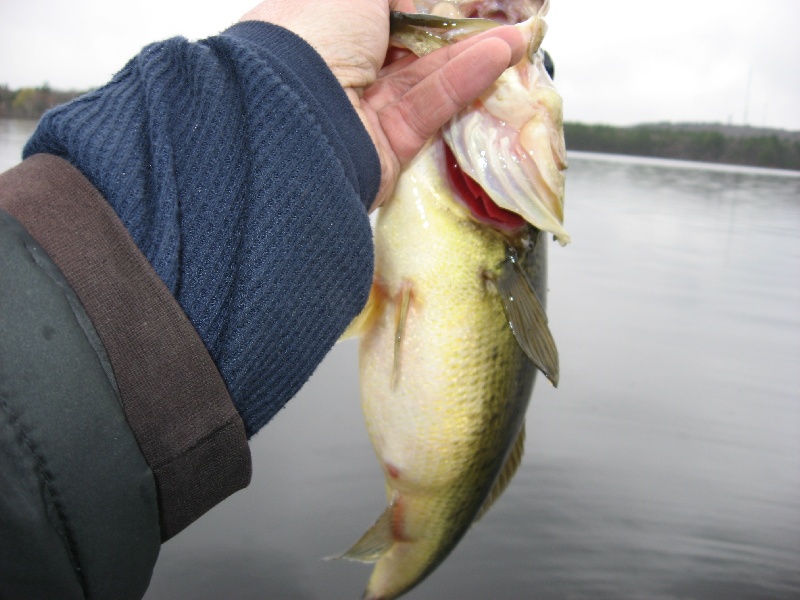 North Andover fishing photo 2