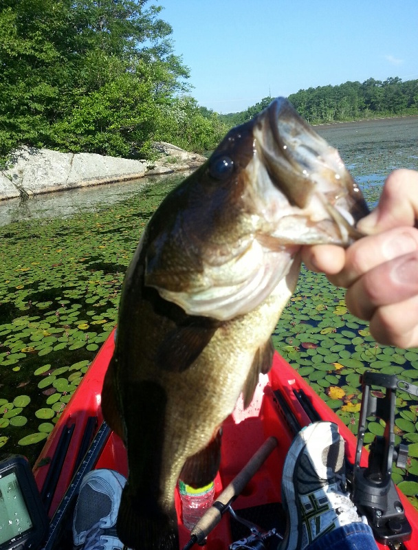 Abington fishing photo 2