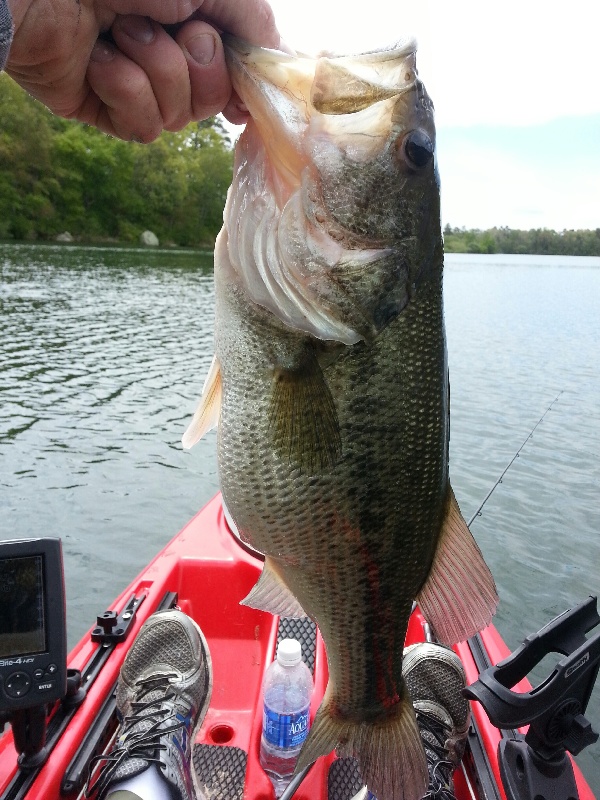 Randolph fishing photo 4