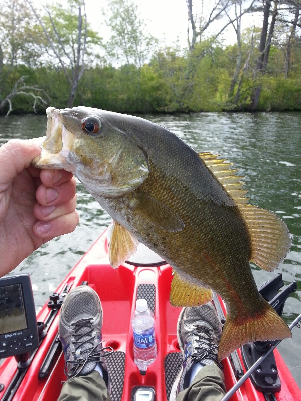 Randolph fishing photo 3