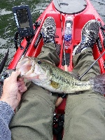 Good day at the Ponds Fishing Report