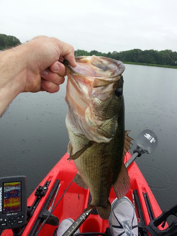 3 lb 8 oz largemouth