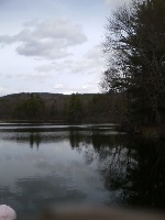 Williams Pond