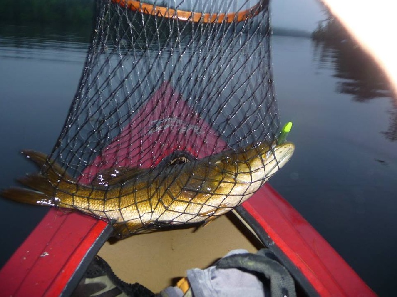 Bar Harbor, ME - Small Mouth