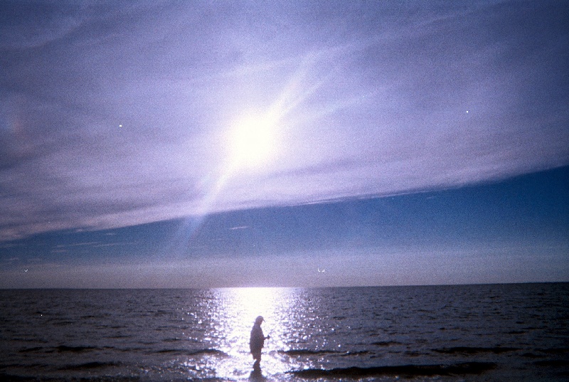 Wellfleet fishing photo 0