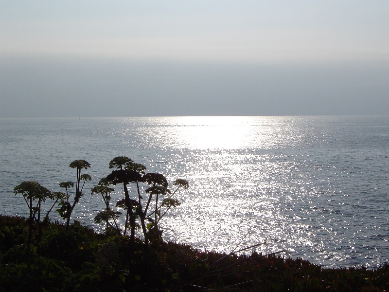 Wellfleet fishing photo 4