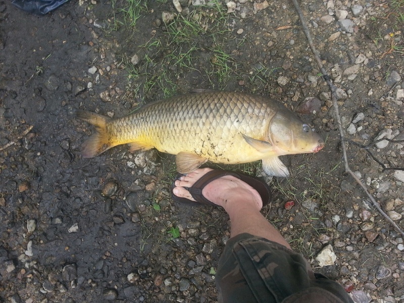 Good shore access for carp and catfish