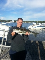 Cashman Park Stripers incoming tide