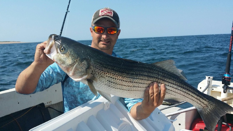 Provincetown fishing photo 4