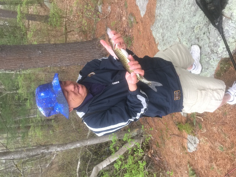 Chain Pickerel