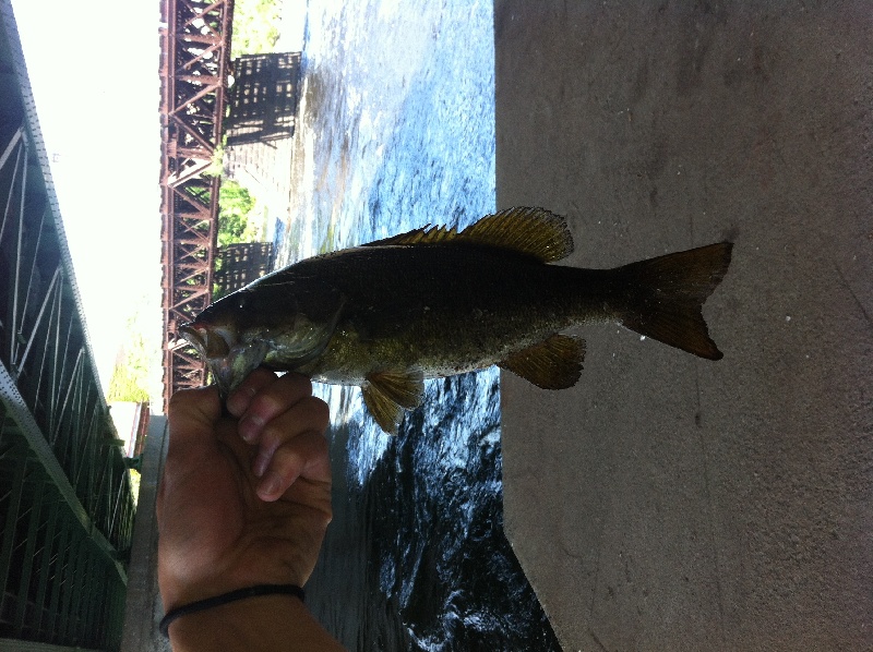 2lb small mouth bass near Lawrence