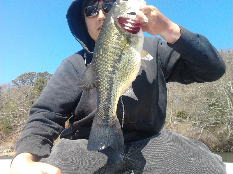 NICE BASS