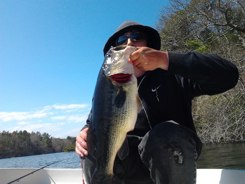 8.5lbs LMB