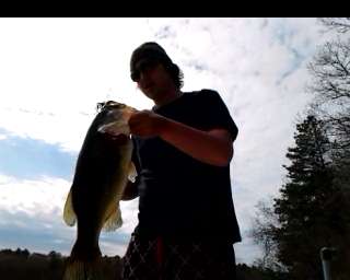 NICE BASS!!