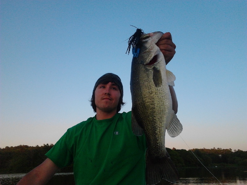 Evening bassin!