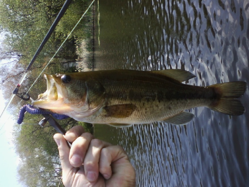 3rd kayak fish