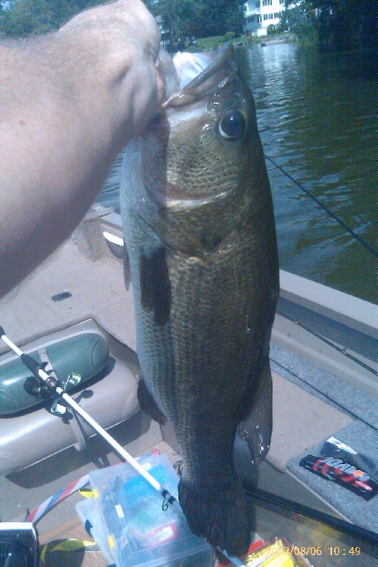 Lynnfield fishing photo 2