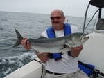 big bluefish while sailing to Cuttyhunk