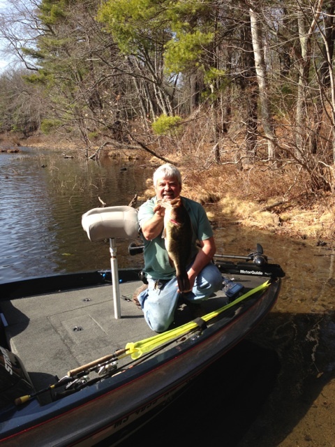 Lake Boone Gator