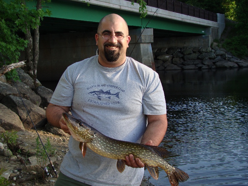 Northern Pike near Concord