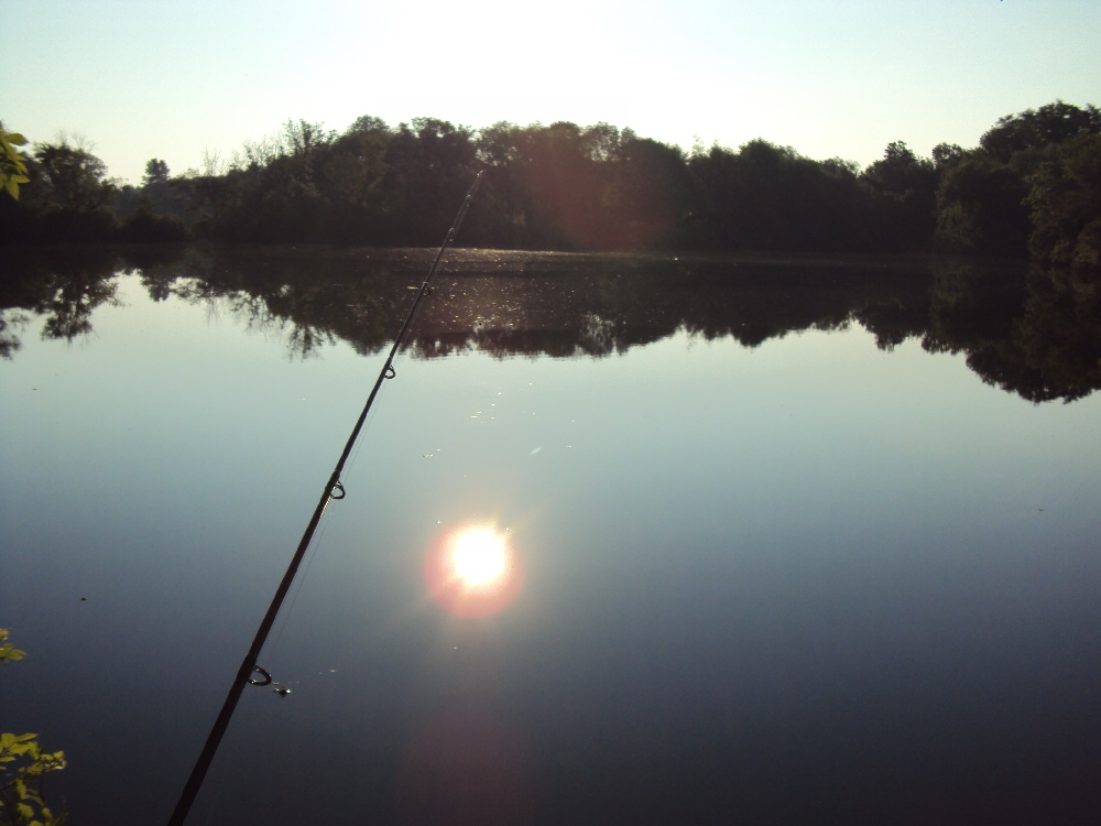 middle pond near Berkley