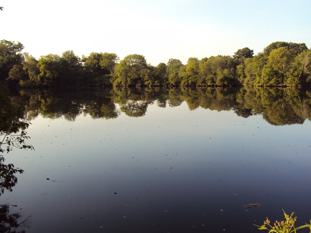 middle pond  near Dighton