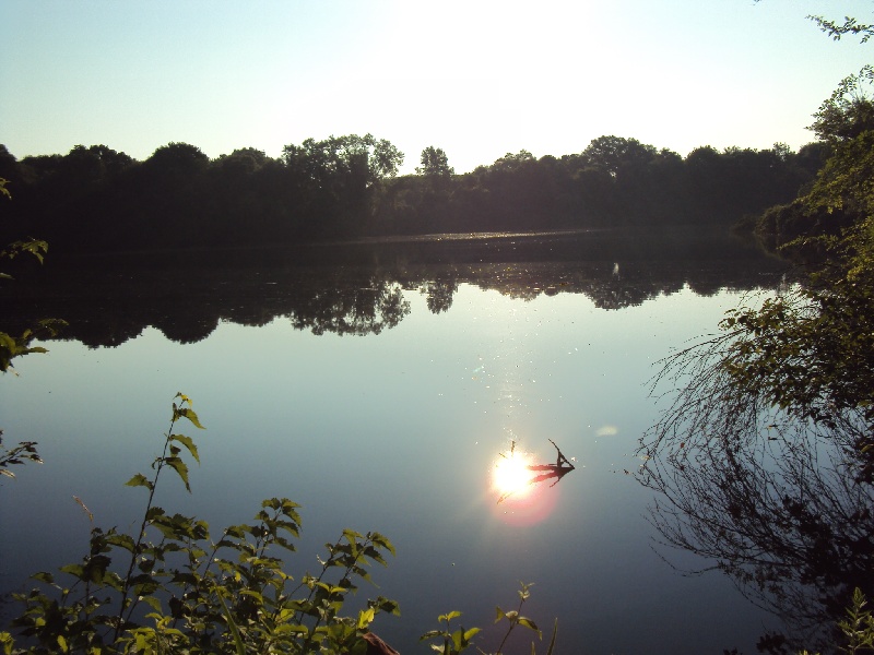 first pond near Berkley