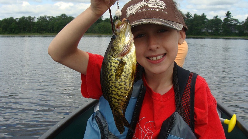 Black Crappie near Taunton