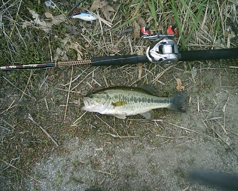 5-8-08 - Lake Maspenock - 6th of 12 fish