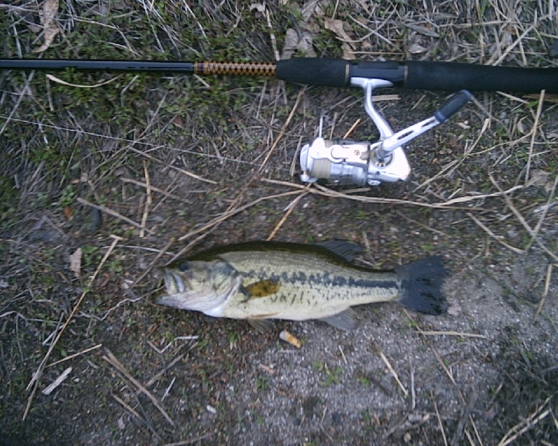 5-8-08 - Lake Maspenock - 10th of 12 fish