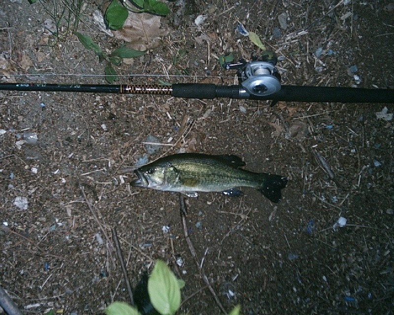 5/15/08 - Upper Mystic Lake - Medford, MA