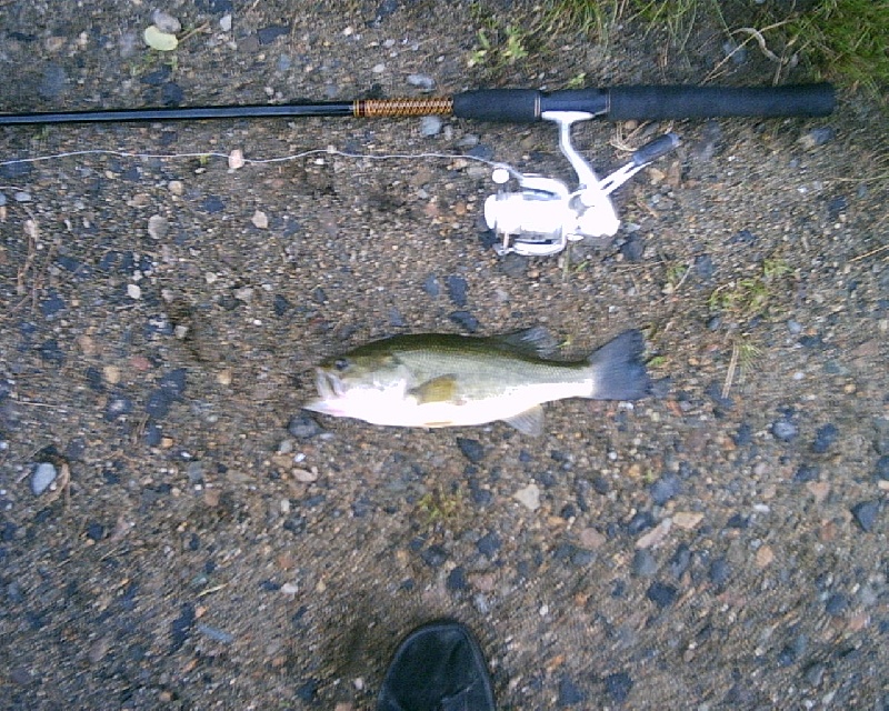 7/10/08 - Farm Pond